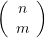 \left( {\begin{array}{*{20}{c}} n \\ m \end{array}} \right)
